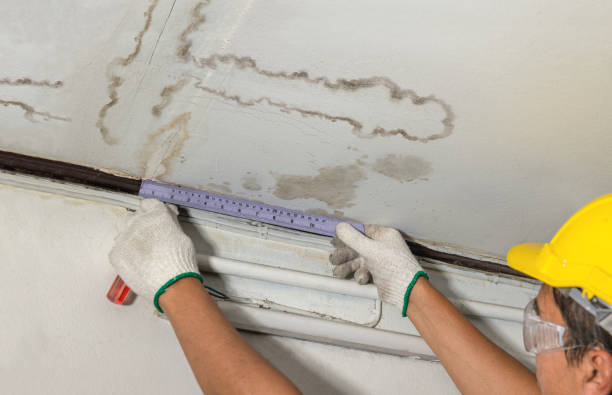 Reliable Sewage Cleanup contractor in Hillsdale, MI by Water Damage Irwin